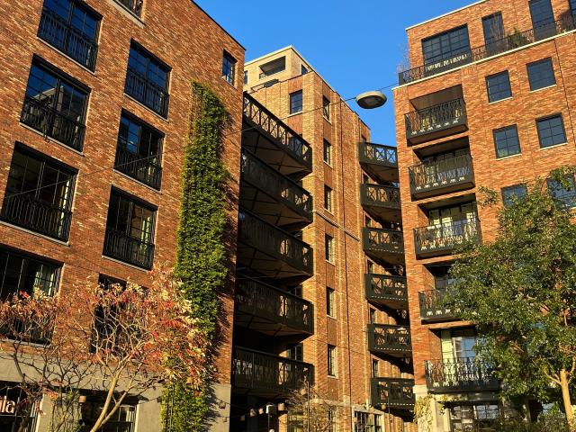 apartment for rent in Abraham Tuschinskistraat 37 3015GK Rotterdam Dijkzigt Rotterdam