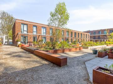 Olland, Meierijstad, Noord-Brabant - Tuin
