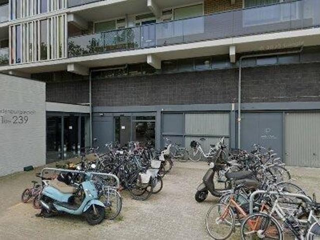 Apartment for rent in Arnhem
