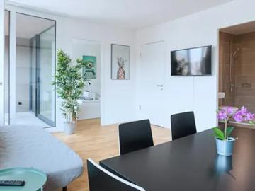 Wohnung zur Miete in Basel-Stadt