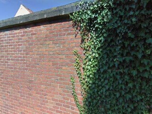 Apartment for rent in Beernem