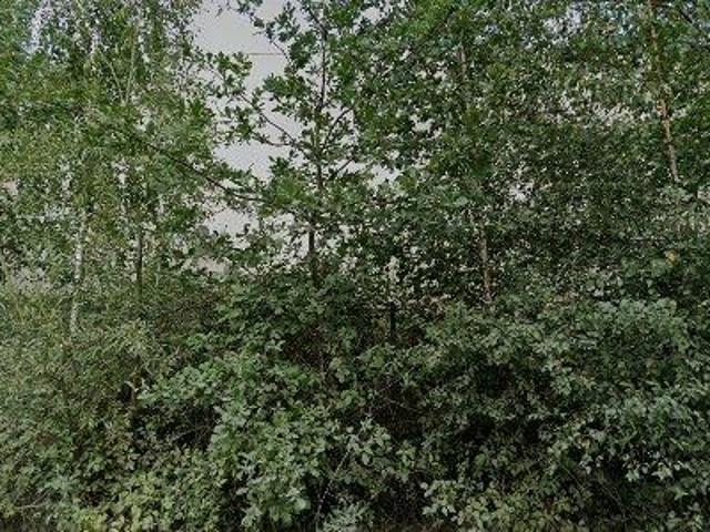 Apartment for rent in Beerse, Antwerp Province