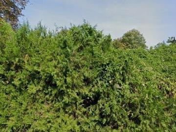 Apartment for rent in Bruckneudorf