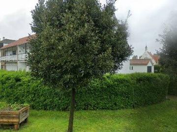 Apartment for rent in Brugge