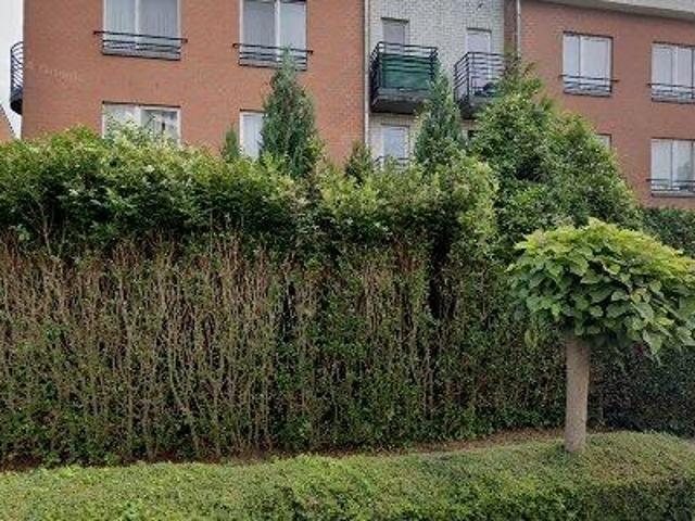 Apartment for rent in Brussels Jette