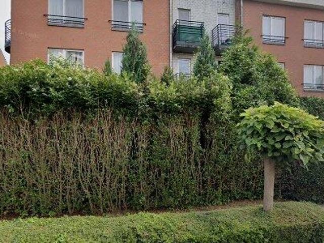 Apartment for rent in Brussels Jette