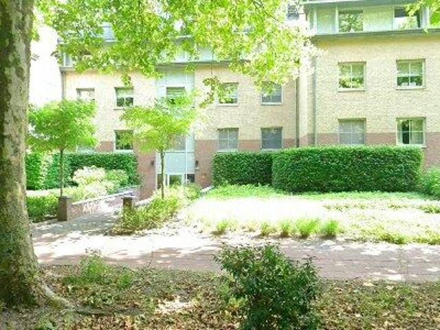 Apartment for rent in Brasschaat