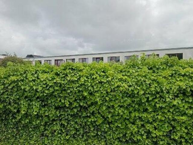 Apartment for rent in Bredene