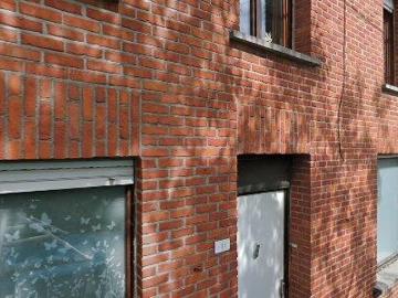 9255, Termonde, Flandre orientale, Flandre