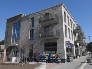 Olland, Meierijstad, Noord-Brabant