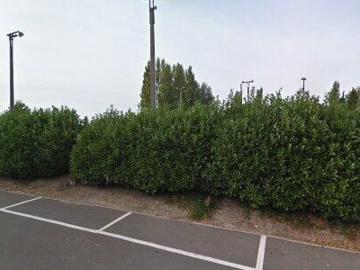 Apartment for rent in Deinze