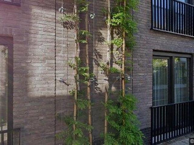 Apartment for rent in Delft, South Holland
