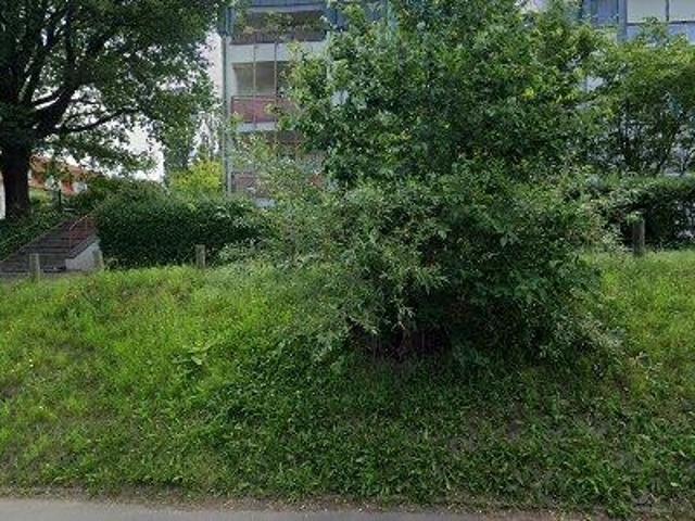 Apartment for rent in Dresden