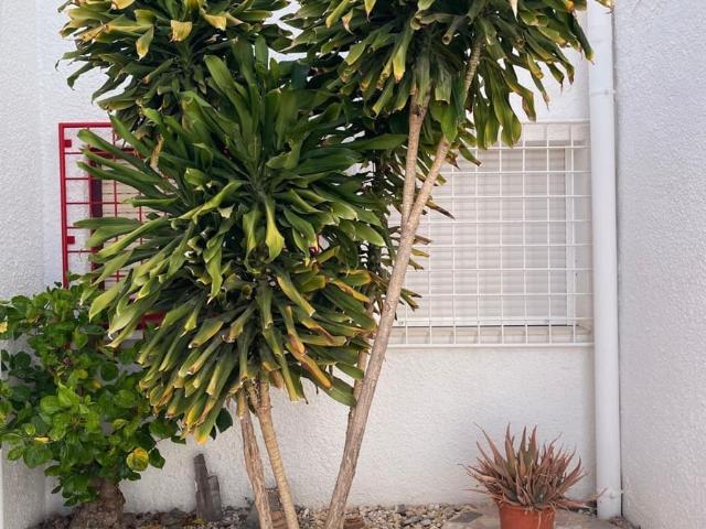 Apartment for rent in El Hornillo, Aguilas, Murcia