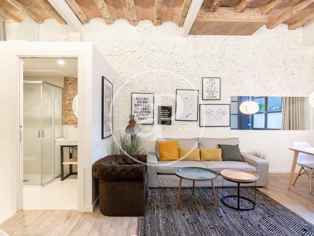 Apartment for rent in El Raval, Barcelona city, Barcelona