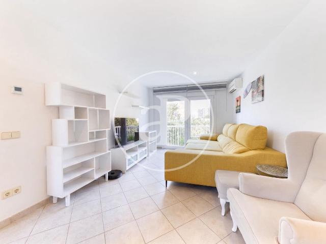 Apartment for rent in Es Molinar / El Molinar, Palma de Mallorca, Mallorca