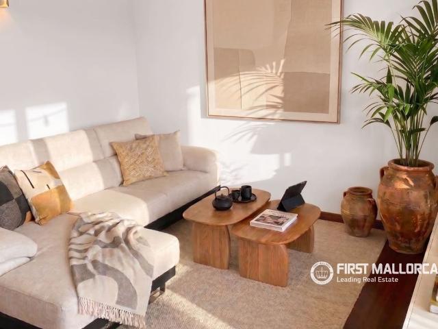 Apartment for rent in Es Molinar / El Molinar, Palma de Mallorca, Mallorca