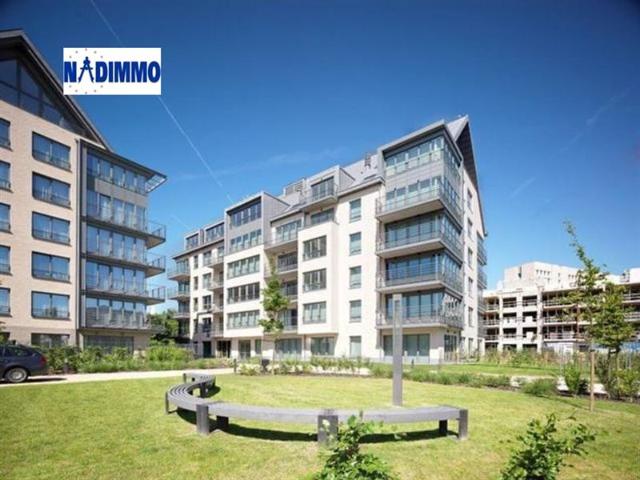 Apartment for rent in,EVERE 1140