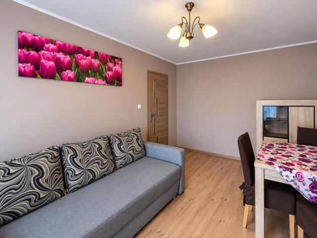apartment for rent in Konstytucji 3 Maja, Toruń
