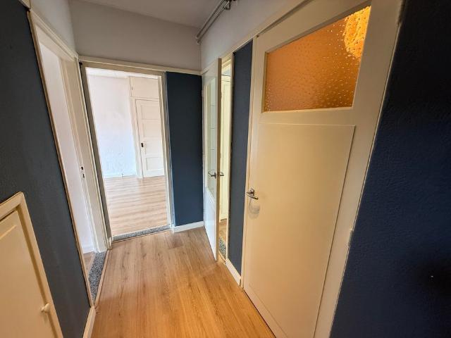 apartment for rent in Korhaanstraat 87
