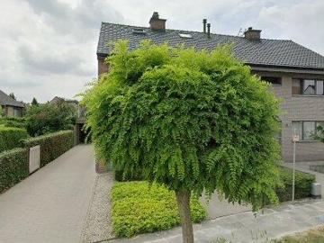 9150, Arrondissement de Saint-Nicolas, Flandre orientale, Flandre