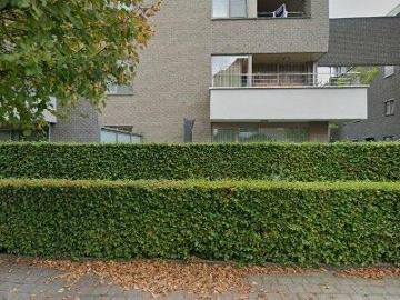 2320, Arrondissement de Turnhout, Province de Anvers, Flandre