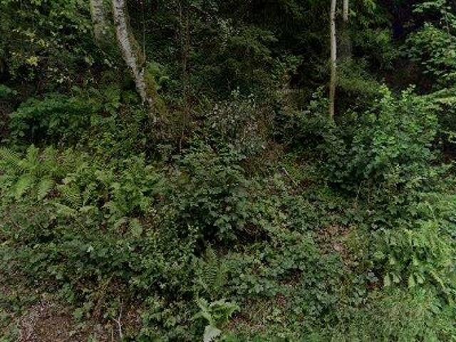 Apartment for rent in Habay