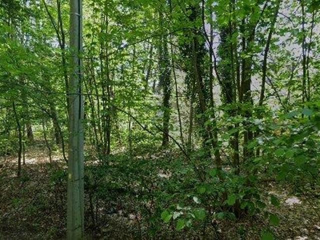 Apartment for rent in Halle