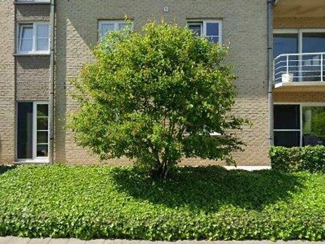 Apartment for rent in Harelbeke