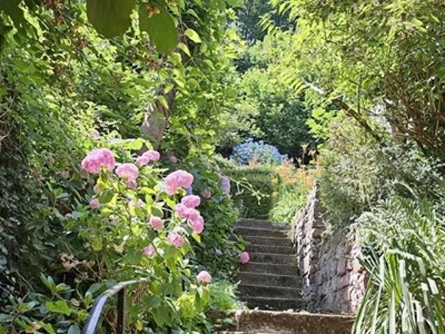 Apartment for rent in Heidelberg, Baden Württemberg