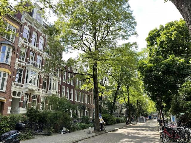 apartment for rent in Henri Polaklaan 32 2 1018CT Amsterdam Plantage Amsterdam