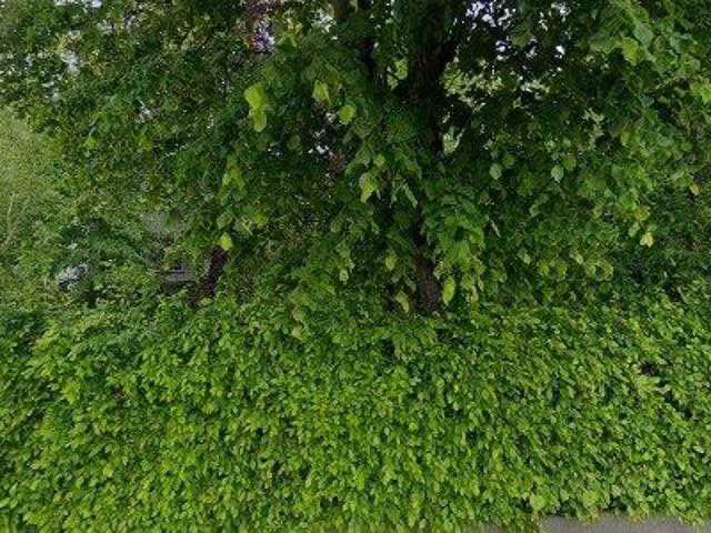 Apartment for rent in Herent