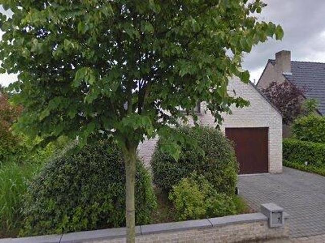 Apartment for rent in Jabbeke