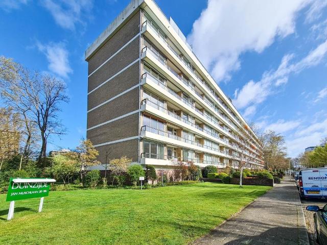 apartment for rent in Jan Muschlaan 48 2597 TX Den Haag Duinzigt
