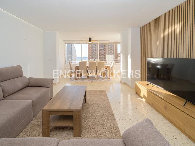 Apartment for rent in Juzgados Plaza de Toros, Benidorm, Alicante