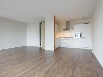 Bezuidenhout, Den Haag, Den Haag, Zuid-Holland