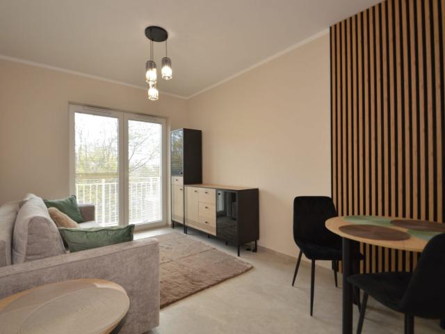 apartment for rent in Olsztyn, Śródmieście, Warmińsko Mazurskie, ul. Franciszka Sarnowskiego