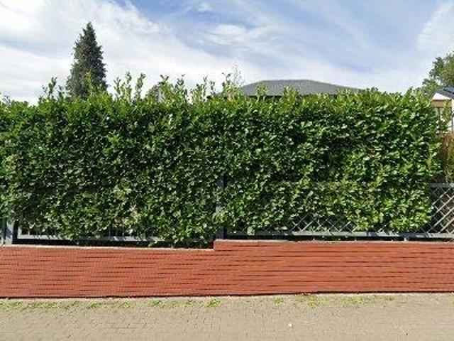 Apartment for rent in Ottignies Louvain la Neuve