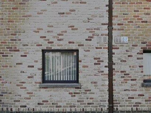 Apartment for rent in Oudenaarde