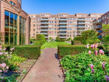 Louise Henriëttestraat, Den Haag, Den Haag, Zuid-Holland