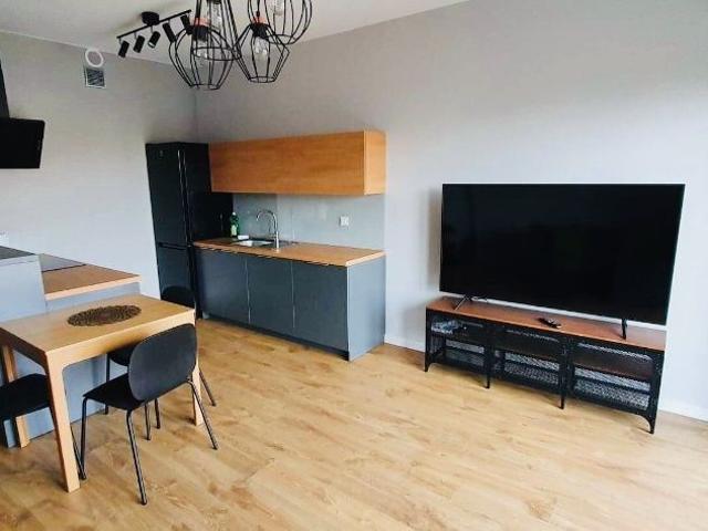 Apartment for rent in Lodz 2 rooms city centre