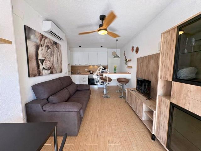 Apartment for rent in Los Balcones Los Altos, Torrevieja, Alicante