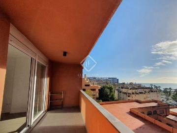 Palmeral de las Sorpresas, Casco Antiguo de Málaga, Málaga, Málaga, Andalucía, Andalucía