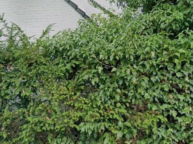 Apartment for rent in Lasne