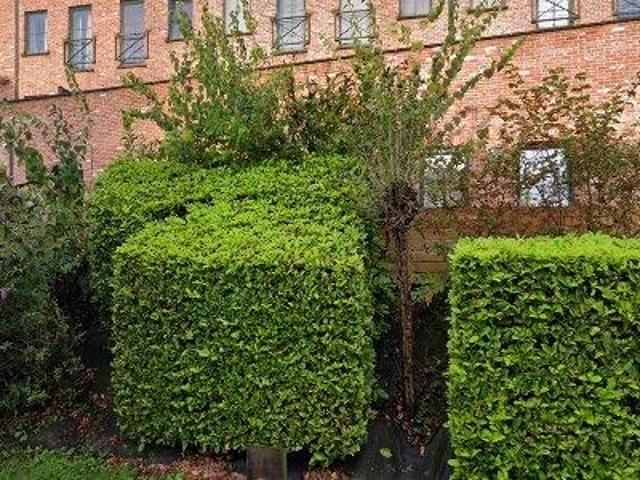 Apartment for rent in Leuven