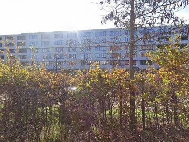 Apartment for rent in Leuven
