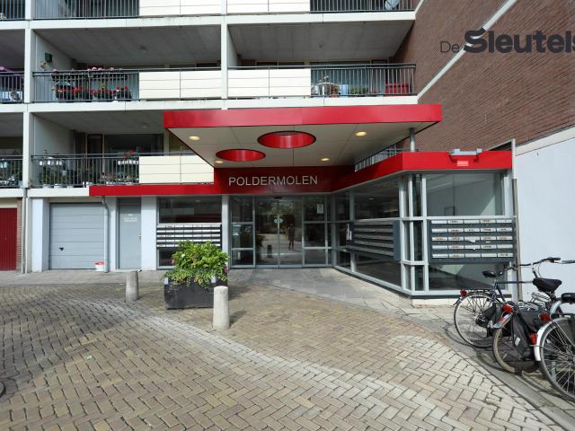 Apartment for rent in Leiden