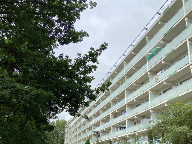 Apartment for rent in Leiden