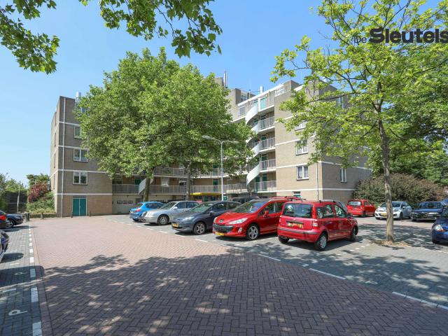 Apartment for rent in Leiden