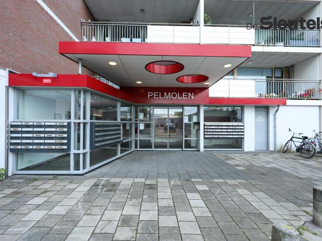 Apartment for rent in Leiden